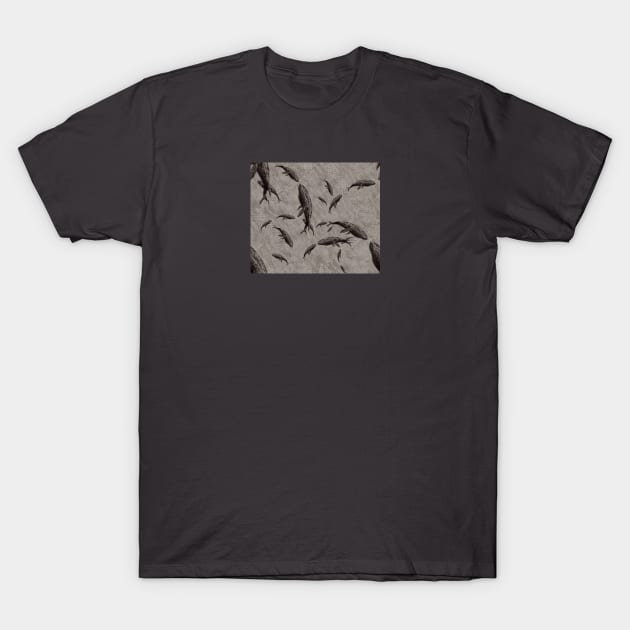 Grey and Black Ballena or Whales T-Shirt by Salzanos